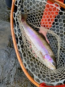 Fly Fishing Vermont